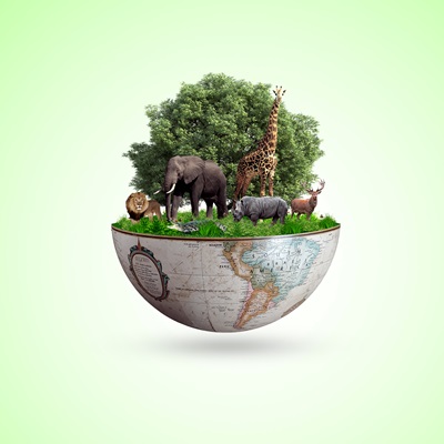 Biodiversità Come ha investito il fondo sulla biodiversità?
